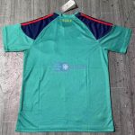 Camiseta De Portero España Verde 2010 Retro - 图片 2