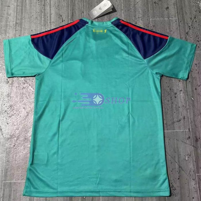 Camiseta De Portero España Verde 2010 Retro - 图片 2